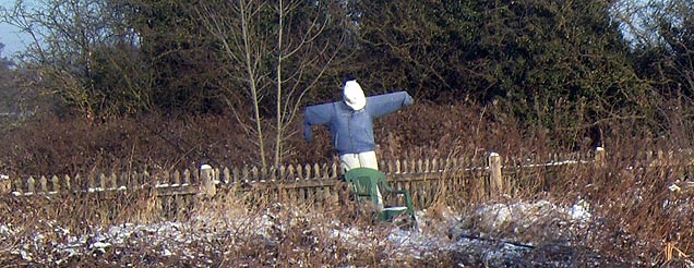 Scarecrow Image